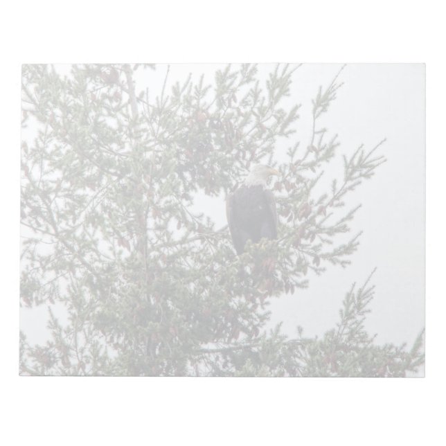 Bloco De Notas Bald Eagle P2825 (Frente)