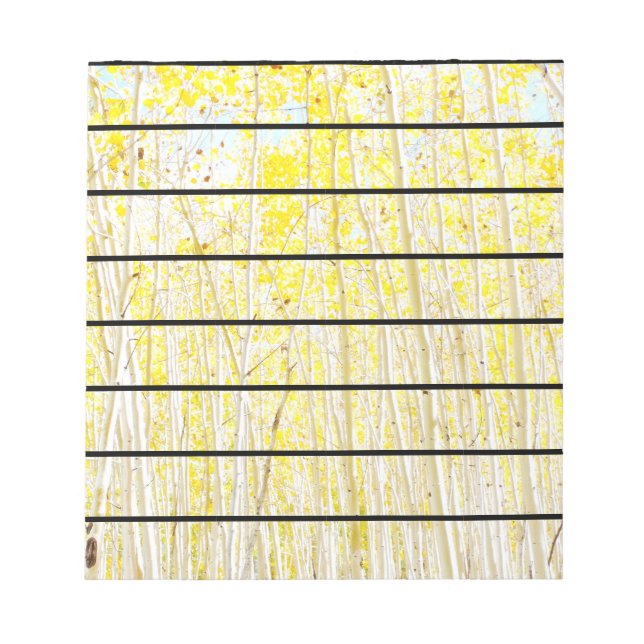 Bloco De Notas Banheiras de Baunilha, Aspen Flagstaff, Arizona (Frente)