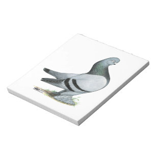 Bloco De Notas Bar Azul Berliner Tumbler