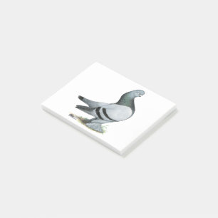 Bloco De Notas Bar Azul Berliner Tumbler Pigeon