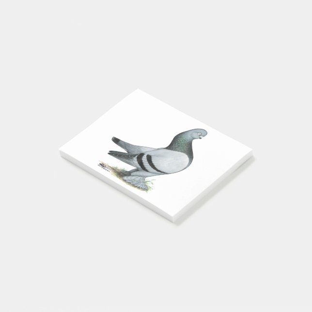 Bloco De Notas Bar Azul Berliner Tumbler Pigeon (Inclinado)