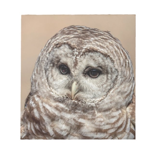Bloco De Notas Barred Owl (Frente)