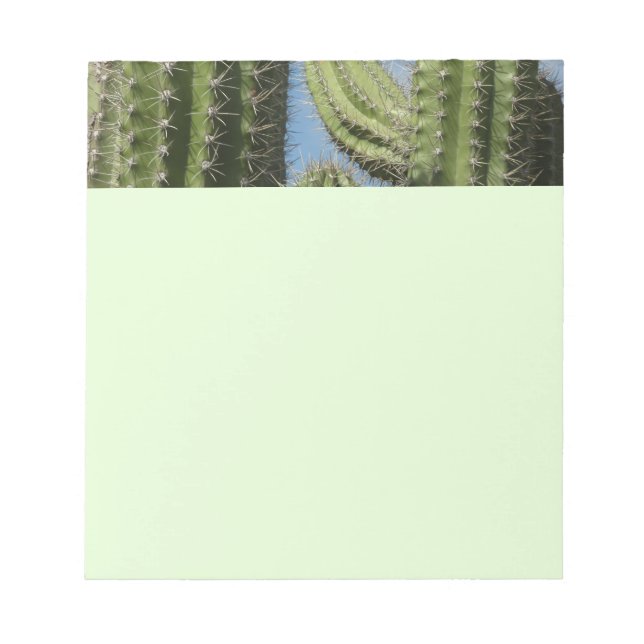 Bloco De Notas Barrel Cactus I Desert Photo (Frente)