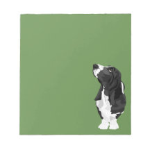 Basset Hound preto e branco