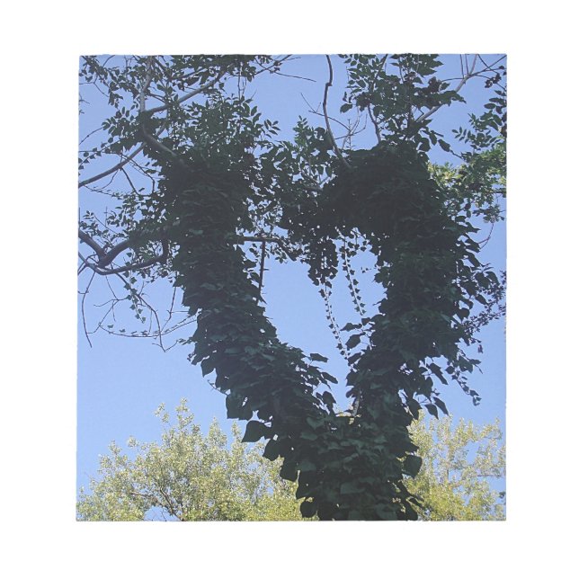 Bloco De Notas Baumherz (Frente)