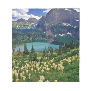 Bloco De Notas Beargrass acima do Lago Grinnell no Many