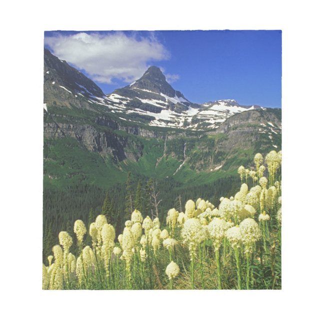 Bloco De Notas Beargrass no Logan Pass no Parque Nacional Glacier (Frente)