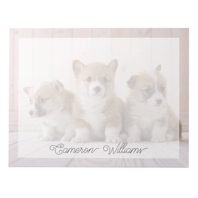 Bloco De Notas Bebês Animais mais Fofos | 3 Filhotes de Corgi (Frente)
