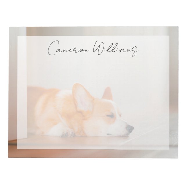 Bloco De Notas Bebês Animais Mais Fofos | Corgi Dormindo (Frente)