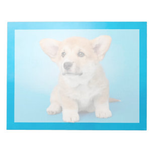 Bloco De Notas Bebês Animais mais Fofos Filhote de Corgi no Azu