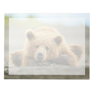 Bloco De Notas Bebês Animais mais Fofos Filhote de Urso Pardo C