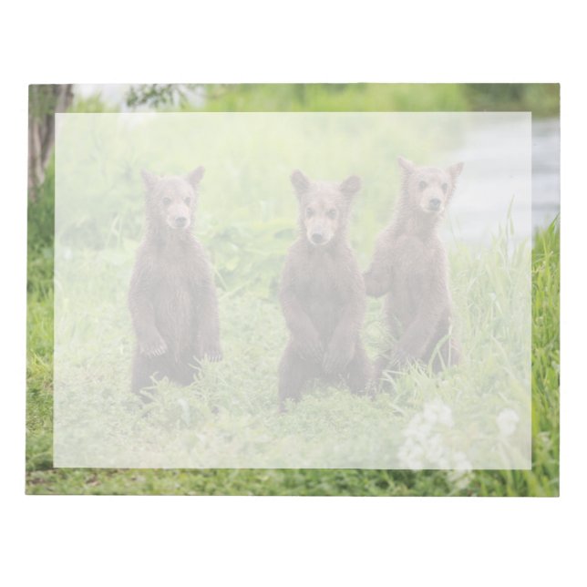 Bloco De Notas Bebês Animais Mais Fofos | Filhotes de Urso Pardo  (Frente)