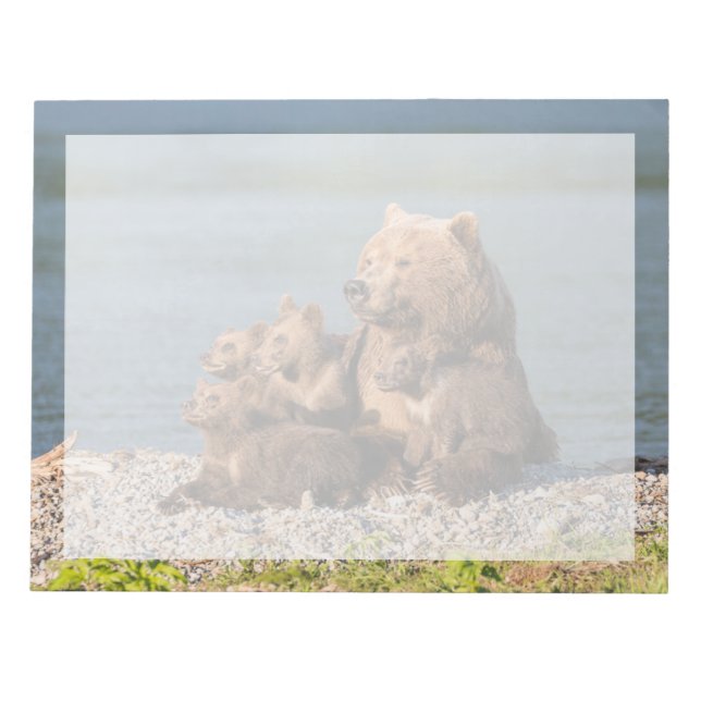 Bloco De Notas Bebês Animais Mais Fofos | Urso Mãe e Filhotes (Frente)