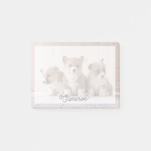 Bloco De Notas Bebês Mais Pobres   3 Bebês-Corgis