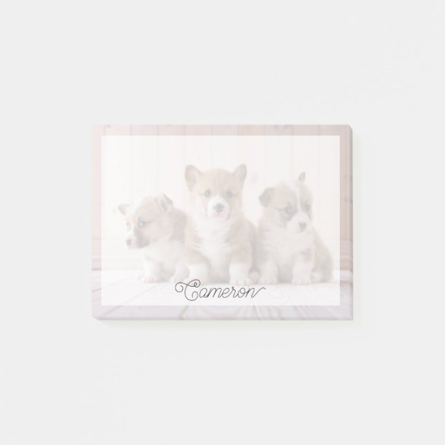 Bloco De Notas Bebês Mais Pobres | 3 Bebês-Corgis (Frente)
