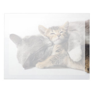 Bloco De Notas Bebês Mais Pobres Abraço de Kitten Cute