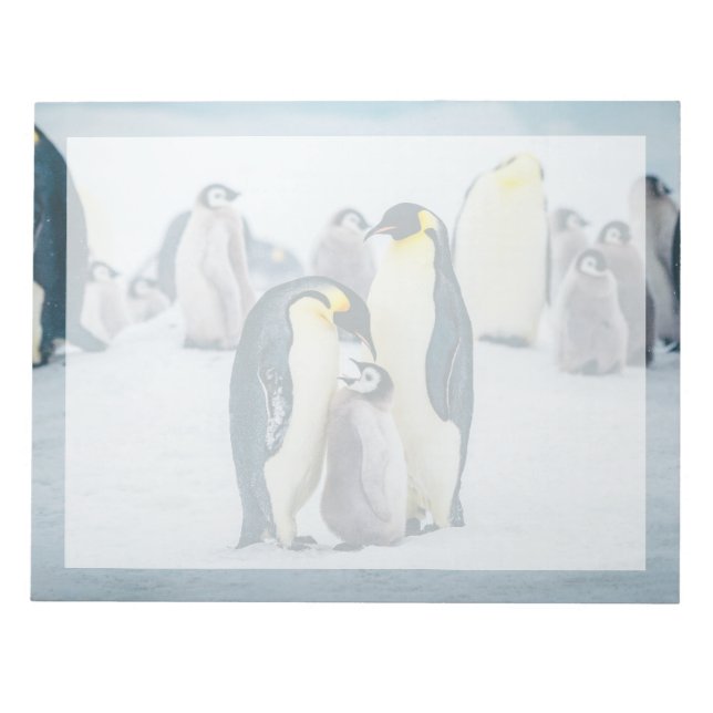 Bloco De Notas Bebês Mais Pobres | Alimentos para pinguins bebês (Frente)