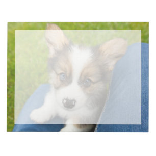 Bloco De Notas Bebês Mais Pobres Baby Corgi no meu colo