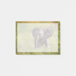 Bloco De Notas Bebês Mais Pobres   Baby Elephant Kenya Africa