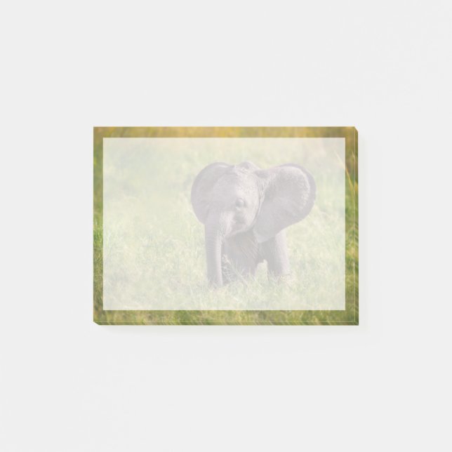 Bloco De Notas Bebês Mais Pobres | Baby Elephant Kenya Africa (Frente)