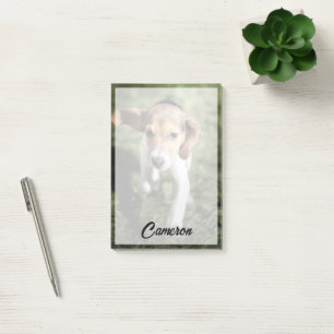 Bloco De Notas Bebês Mais Pobres   Beagle Puppy