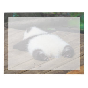 Bloco De Notas Bebês Mais Pobres Bebê Giant Panda Dormindo