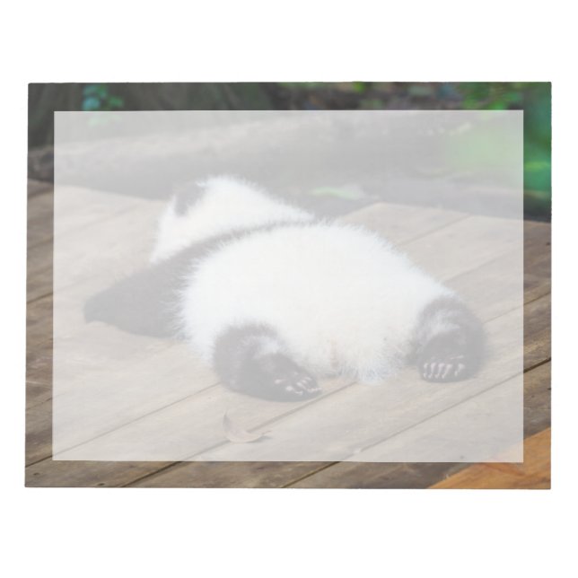 Bloco De Notas Bebês Mais Pobres | Bebê Giant Panda Dormindo (Frente)