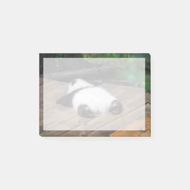 Bloco De Notas Bebês Mais Pobres | Bebê Giant Panda Dormindo (Frente)