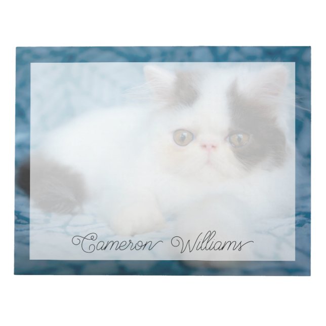 Bloco De Notas Bebês Mais Pobres | Black & White Kitten (Frente)