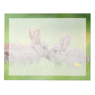 Bloco De Notas Bebês Mais Pobres   Bunny Kiss