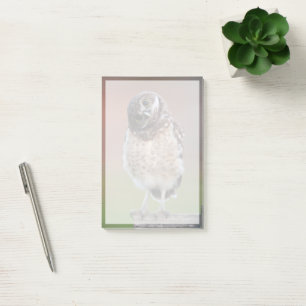 Bloco De Notas Bebês Mais Pobres   Burrowing Owlet