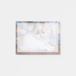 Bloco De Notas Bebês Mais Pobres Calico Pérsico Kitten
