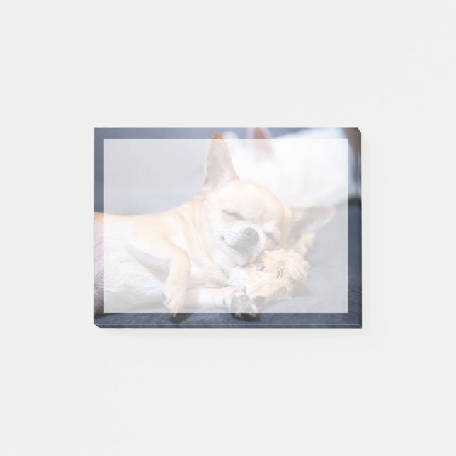 Bloco De Notas Bebês Mais Pobres | Cão Chihuahua de cabelos verme (Frente)