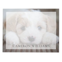 Bebês Mais Pobres | Cavashon Puppy
