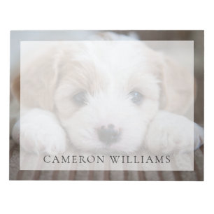 Bloco De Notas Bebês Mais Pobres   Cavashon Puppy