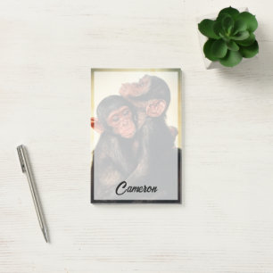 Bloco De Notas Bebês Mais Pobres Chimpanzé Hug