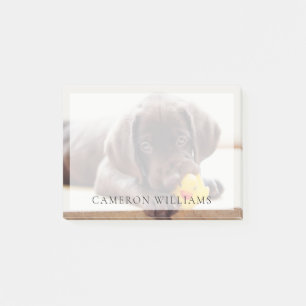 Bloco De Notas Bebês Mais Pobres   Chocolate Labrador Puppy