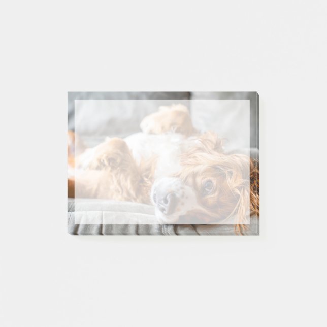 Bloco De Notas Bebês Mais Pobres | Cocker Spaniel (Frente)