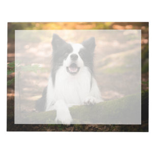 Bloco De Notas Bebês Mais Pobres Collie Preto e Branco