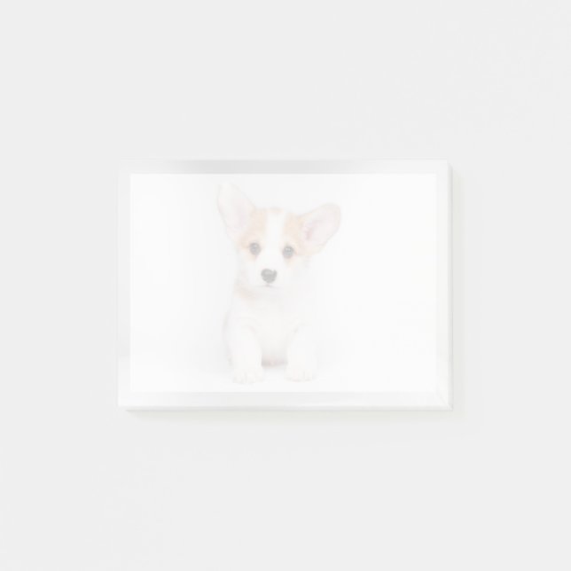 Bloco De Notas Bebês Mais Pobres | Corgi Branco (Frente)
