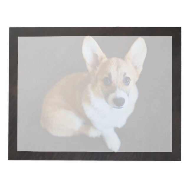Bloco De Notas Bebês Mais Pobres | Corgi Procurando (Frente)