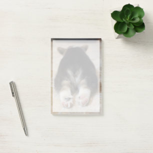 Bloco De Notas Bebês Mais Pobres Corgi Puppy Atrás