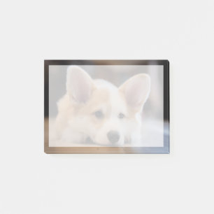 Bloco De Notas Bebês Mais Pobres Corgi-Puppy com sono
