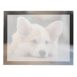 Bloco De Notas Bebês Mais Pobres Corgi-Puppy com sono