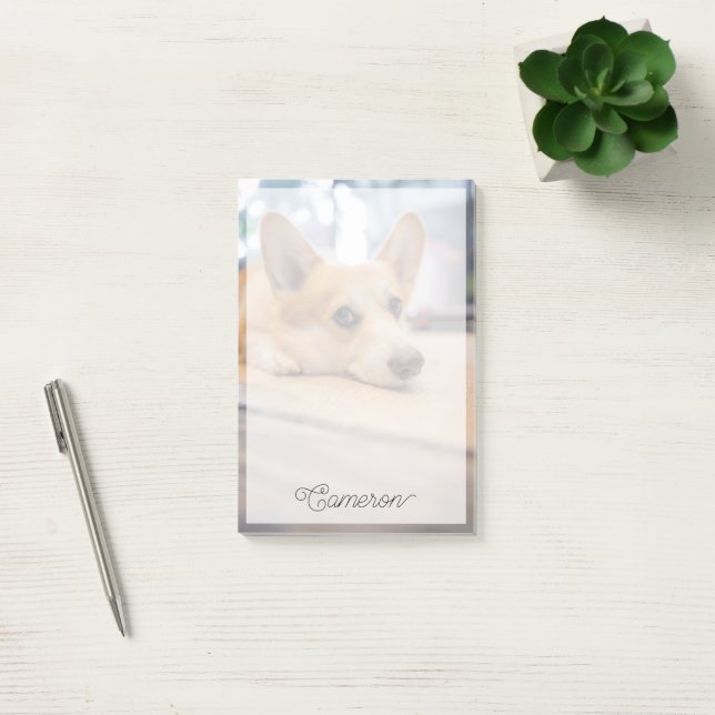 Bloco De Notas Bebês Mais Pobres | Corgi Puppy no chão (Escritótio)