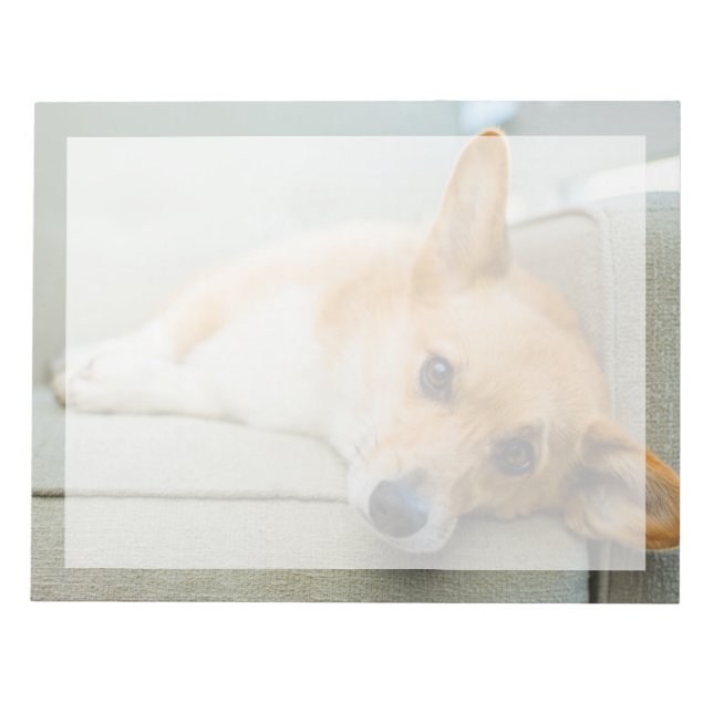 Bloco De Notas Bebês Mais Pobres | Corgi Puppy no sofá (Frente)