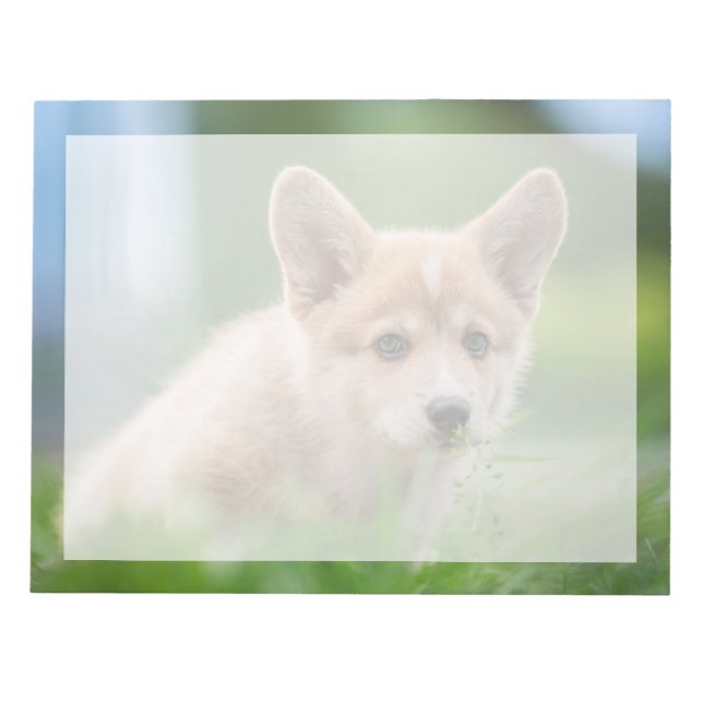 Bloco De Notas Bebês Mais Pobres | Corgi Puppy no Yard (Frente)