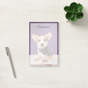Bloco De Notas Bebês Mais Pobres Corgi Puppy Skull Bandana