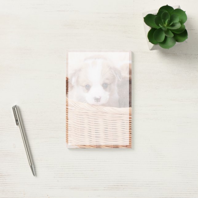 Bloco De Notas Bebês Mais Pobres | Corgi Tiny Puppy (Escritótio)