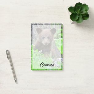 Bloco De Notas Bebês Mais Pobres Cubo-Urso-Marrom